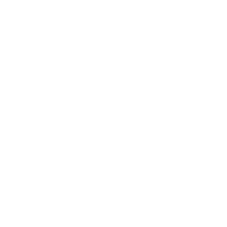 WORK HARD PLAY HARD